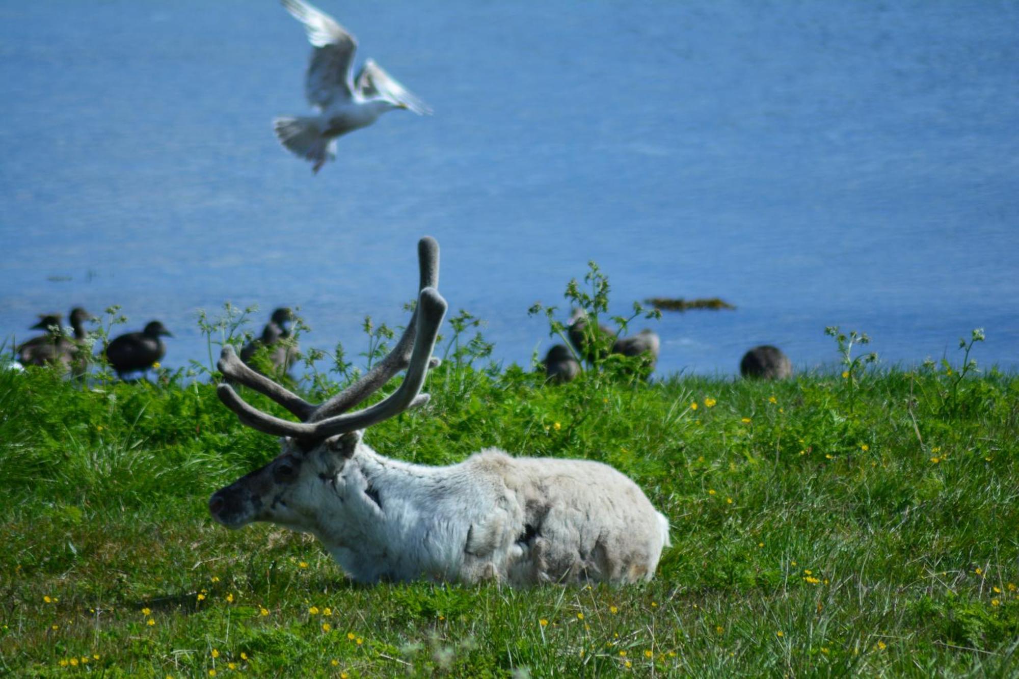 Arctic Hotel Nordkapp Honningsvag Luaran gambar